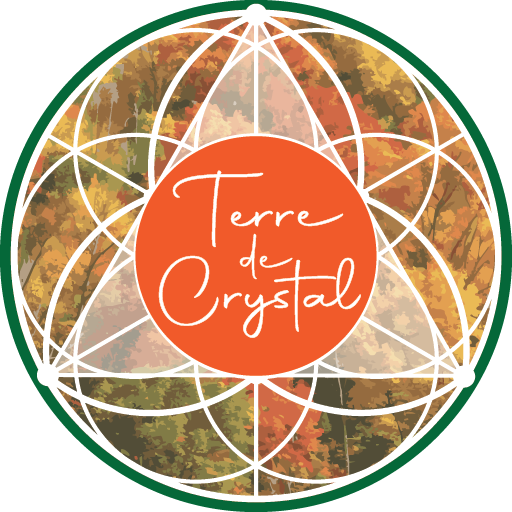 Logo de Terre de Crystal, cercle orange dans un triangle, inséré dans une fleur de vie avec des arbres en arrière-plan