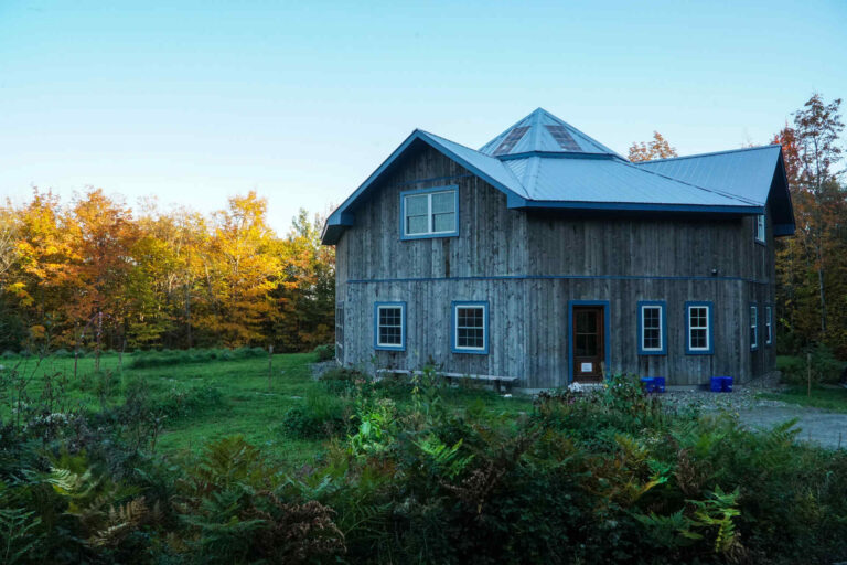 Maison avec toit turquoise