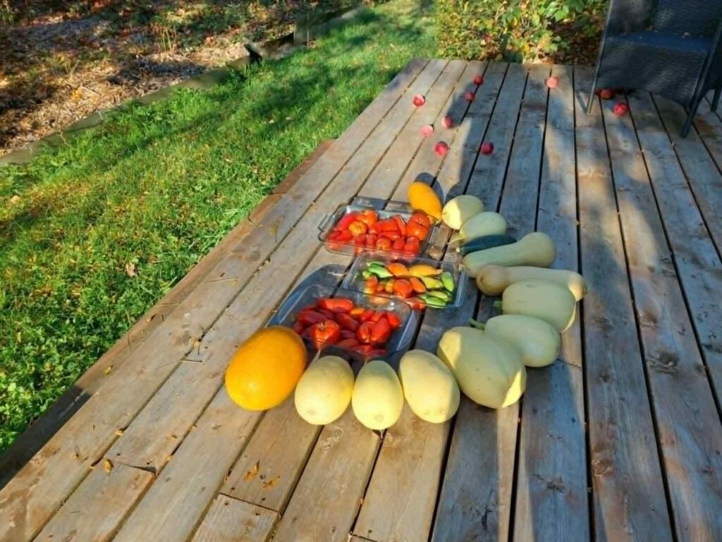 Récoltes du jardin Terre de Crystal