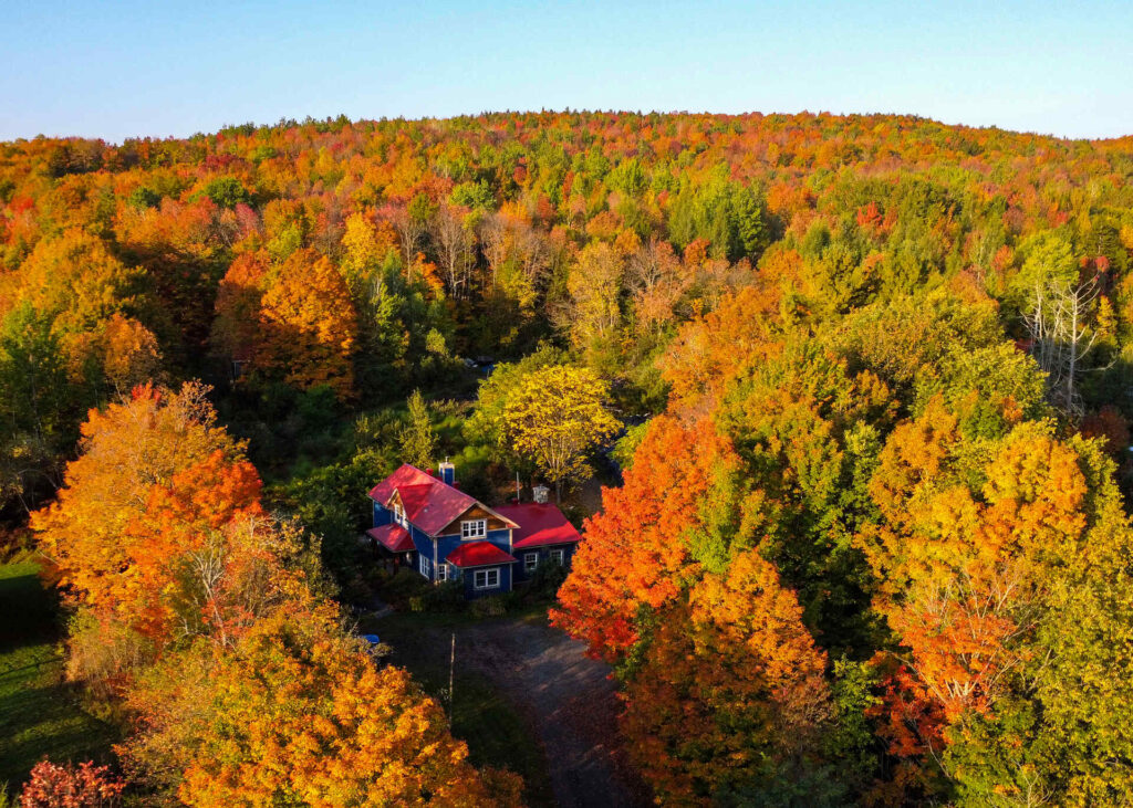 Terrain avec maison et arbres en automne
